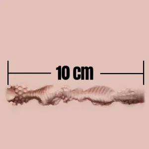 10cm