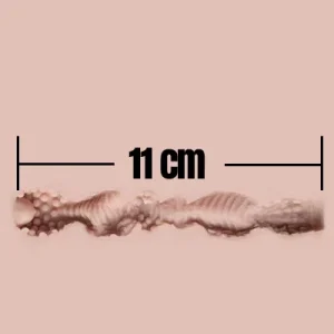 11cm