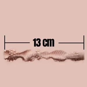 13cm