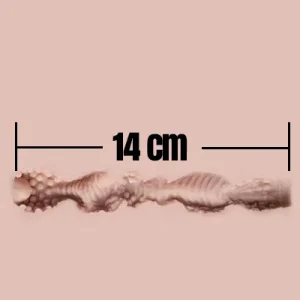 14cm