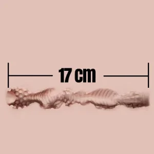 17cm
