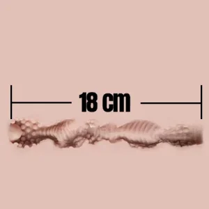 18cm