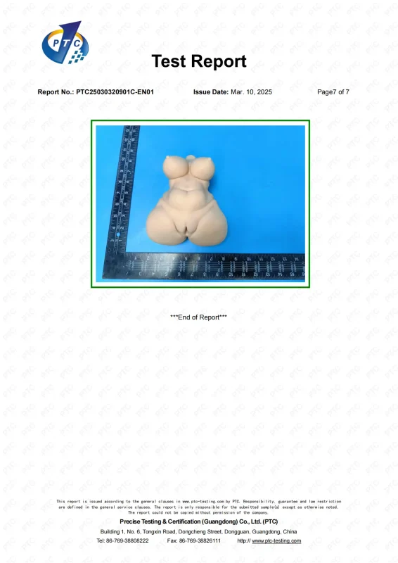 International Certification (5)