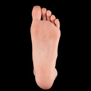 Non Stand Feet