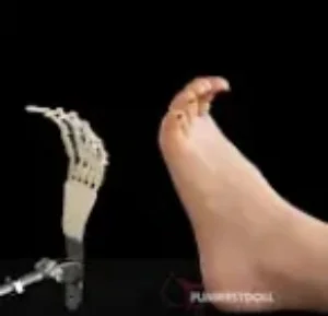 Articulated Toes