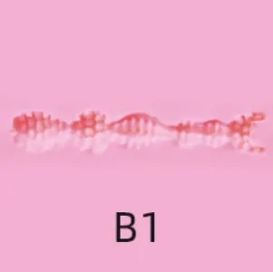 B1
