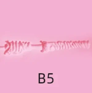 B5