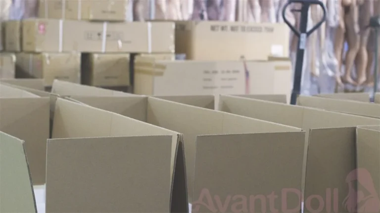 Avant Doll Info (2)