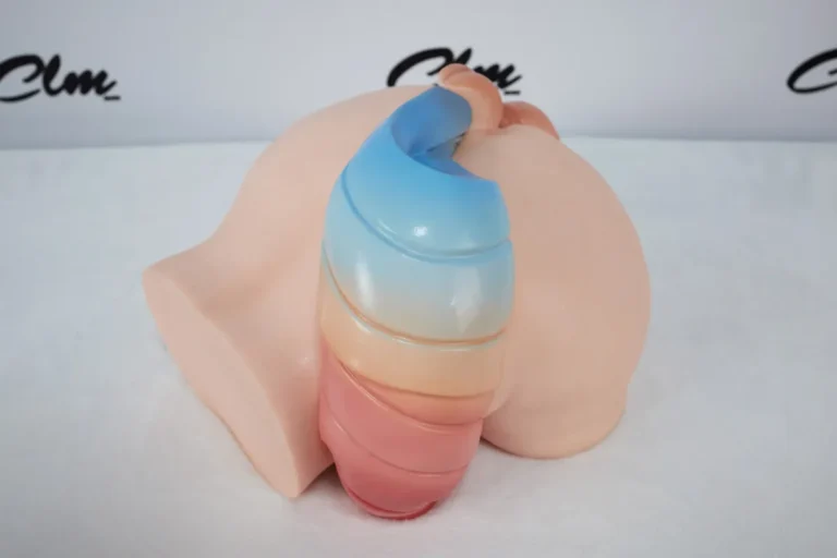 Climax Silicone Ass Sex Toy​ PA Ray (5)