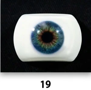 E (19)