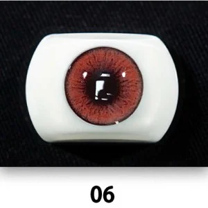 E (6)