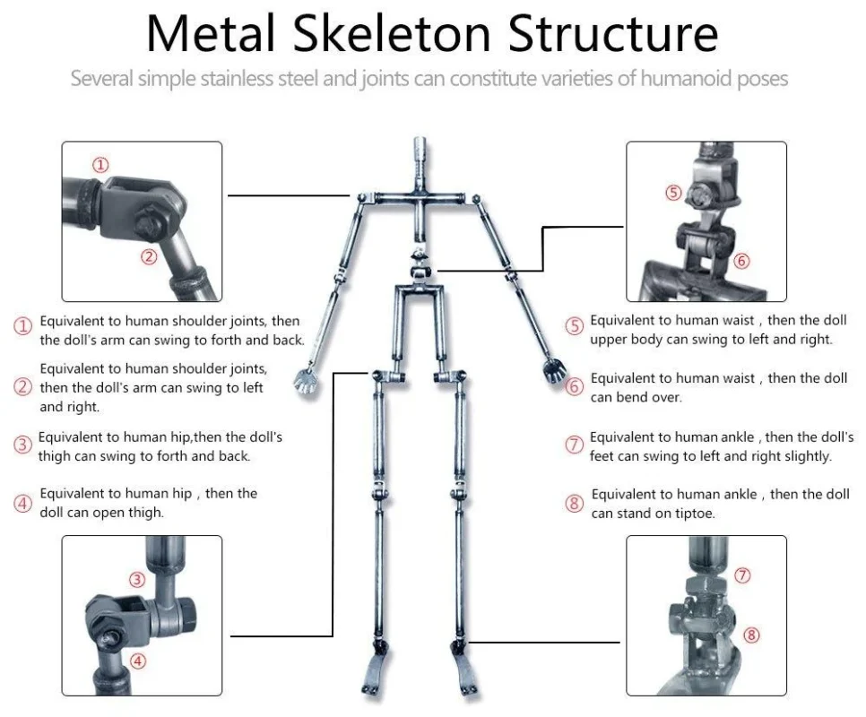 Sex doll Skeleton