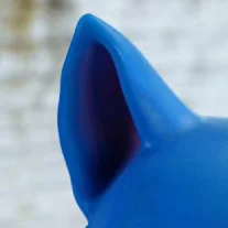 Fixed Ear Without Skeleton