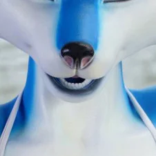 Fixed Teeth & Tongue
