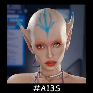 #A13S