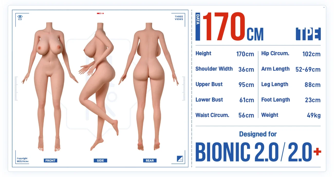 Bezlya 20 and 20+ 170cm TPE Body Size Bezlya 20 and 20+ 170cm TPE Body Size