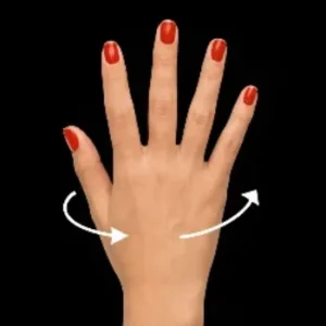 Rotatable Wrist